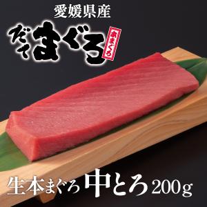 生本マグロ（だてまぐろ）中とろ200ｇ柵（さく） 鮪 伊達マグロ 海鮮 刺身 ギフト 国産 冷蔵 チルド クロマグロ