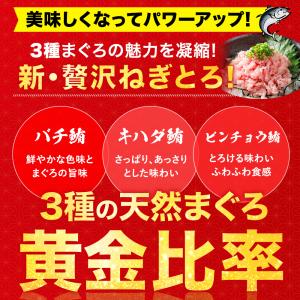 [ねぎとろ 1kg 100g×10パック] 天...の詳細画像2