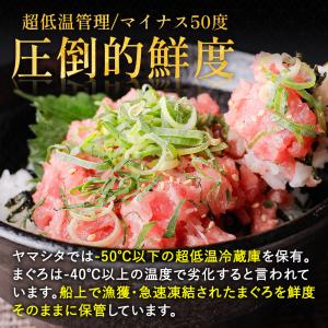 [ねぎとろ 5kg 500g×10パック] 天...の詳細画像4