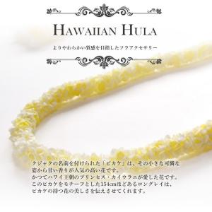 フラ レイ ピカケ ダブル ロング レイ (ホ...の詳細画像1