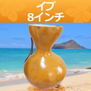 ハワイアン フラダンス 楽器 イプ ヘケ オレ Lサイズ (9インチ) ハワイ