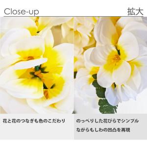 フラダンス ハクレイ レイポオ ヘッドバンド ...の詳細画像4