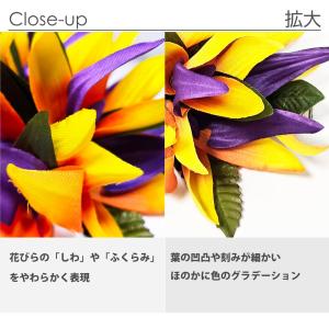フラダンス ヘアクリップ バードオブパラダイス...の詳細画像4