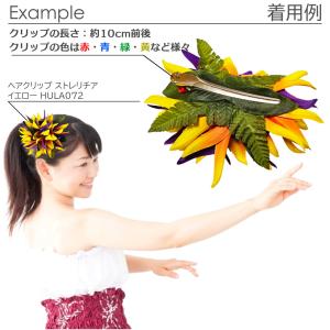 フラダンス ヘアクリップ バードオブパラダイス...の詳細画像5