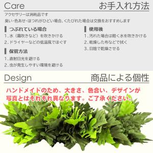フラダンス ハク シダ ファーン ハクレイ (...の詳細画像3