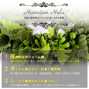 フラダンス ブレスレット リストバンド シダ ...の詳細画像1
