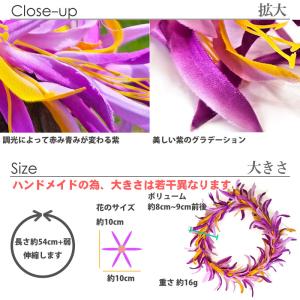フラ ハクレイ スパイダーリリー (葵色 すみ...の詳細画像2