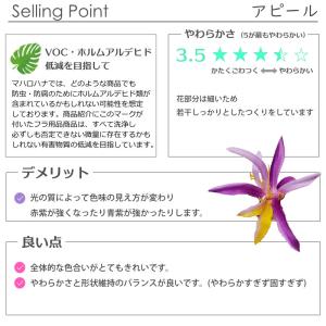 フラ ハクレイ スパイダーリリー (葵色 すみ...の詳細画像5