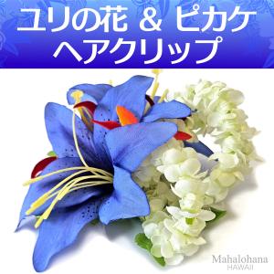 ハワイアン フラダンス 楽器 ウリウリ ボトム マラカス Sサイズ 1本
