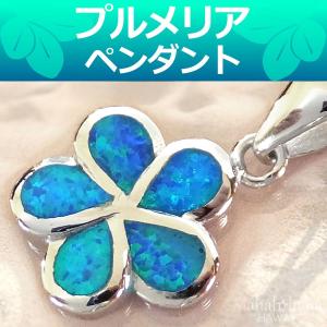 ハワイアンジュエリー スクロール プレート バー ハイビスカス