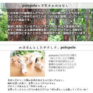 ぽれぽれ動物 サメ さめ 鮫 インテリア 置物...の詳細画像2