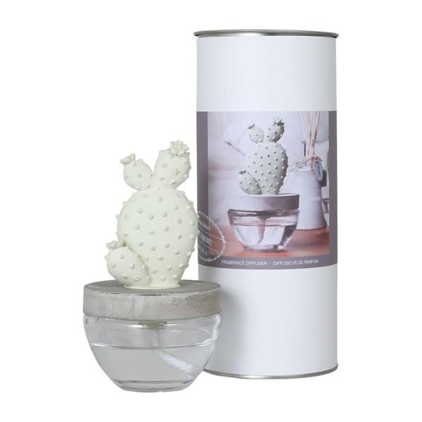 ダルトン Cactus fragrance diffuser フレグランスディフューザー G645-...