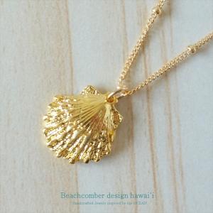 サンライズシェル ハワイの大自然が作り出した希少なサンライズシェル