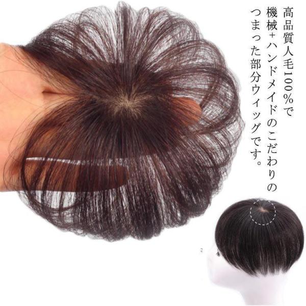 人毛 部分ウィッグ ポイントウィッグ 人毛 ヘアピース 長さ10cm ウィッグ かつら 白髪隠し 頭...