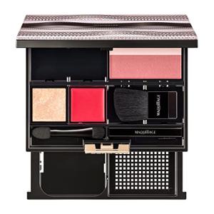 マキアージュ ドラマティックパレット 10 スイッチモードカラー