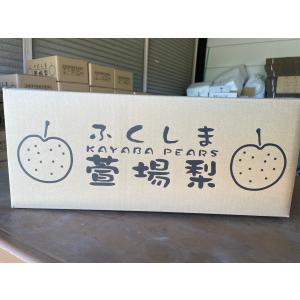 萱場梨 幸水 贈答用 5kg 福島県産 和梨の詳細画像2