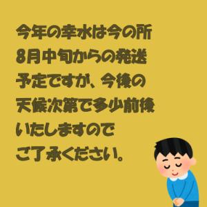 萱場梨 幸水 贈答用 5kg 福島県産 和梨の詳細画像1