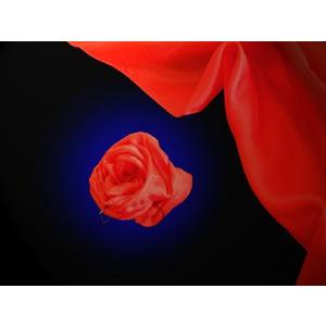 シルクになるバラ（ローズトゥシルク） /手品 マジック用品