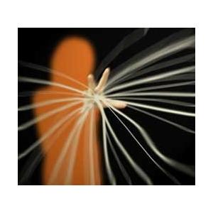 ペーパーストリーマー(クモの糸)[紅白(6個入...の詳細画像1