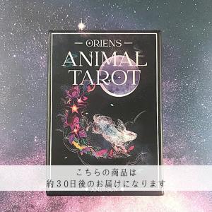 ORIEN&apos;S ANIMAL TAROT ◆ 象徴的 導く者たちのタロットカード