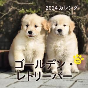 2024年カレンダー ゴールデンレトリーバー 誠文堂新光社カレンダー