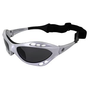Birdz Eyewear 偏光ゴーグル