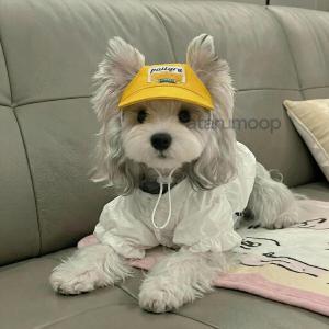 犬用帽子 サンバイザー 小型犬 中型犬 子犬 ...の詳細画像4
