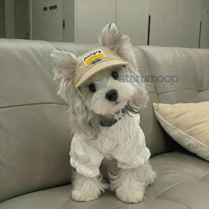 犬用帽子 サンバイザー 小型犬 中型犬 子犬 ...の詳細画像5