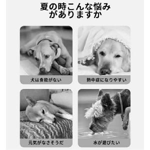 犬 ライフジャケット ペット ライフジャケット...の詳細画像1