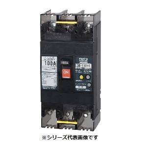 テンパール工業　102EC0630F　漏電遮断器 経済タイプ Eシリーズ OC付 埋込形 100AF 2P2E 100-200V 60A 30mA ※受注品 [§££]｜maido-diy-reform