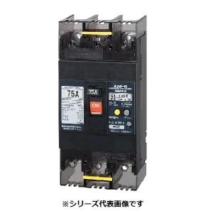テンパール スタンダード住宅用分電盤 パールテクト(扉付)主幹50A 分岐