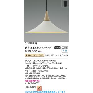 KOIZUMI（コイズミ） AP54860 ペンダントライト LED交換可能 非調光