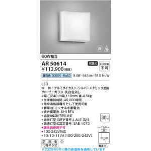 コイズミ照明　AR50614　非常用照明 LED一体型 非調光 昼白色 防雨型 化粧ネジ式 シルバー