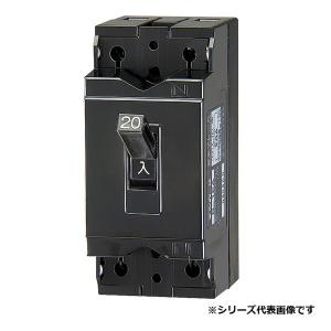 テンパール工業 B2HA40 配線用遮断器 安全ブレーカ 50AF 2P2E 100-100
