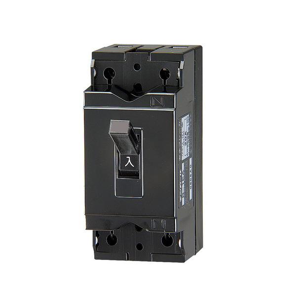 テンパール工業 配線用遮断器　B2EA20　安全ブレーカ B-2EA 20A [£]