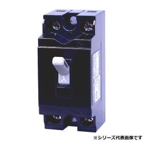 テンパール工業　BC1HEA20　配線用遮断器 安全ブレーカ 住宅用分電盤用 コード短絡保護用瞬時遮断機能付 遮断容量2.5kA 30AF 2P1E 100V 20A [££]｜maido-diy-reform