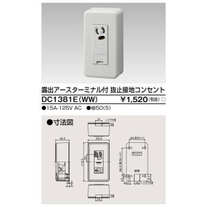 Panasonic パナソニック WKS317 露出アースターミナル付 抜け