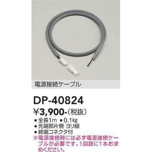 大光電機(DAIKO)　DP-40824　部材 電源接続ケーブル 終端コネクタ付｜maido-diy-reform