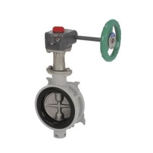 荏原製作所 20HPE0.15S HPE型 浅井戸用インバータポンプ 150W 単相100V