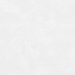 アイカ工業 【FAN 1965ZMN／2枚入】 セラール CERARL メラミン不燃化粧板 壁パネル...