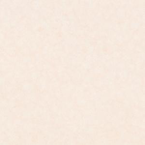 アイカ工業 【FAN 1967ZMN／2枚入】 セラール CERARL メラミン不燃化粧板 壁パネル...