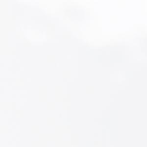 アイカ工業 【FKJ 6000ZKN82／2枚入】 セラール CERARL メラミン不燃化粧板 壁パ...