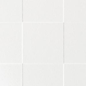 アイカ工業 【FKJ 6000ZUN85／2枚入】 セラール CERARL メラミン不燃化粧板 壁パネル 3×8 厚さ3mm [♪△【本州のみ配送可】]｜maido-diy-reform