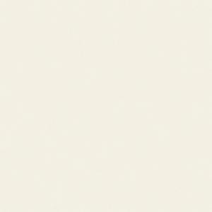 アイカ工業 【FKM 6015ZMN／2枚入】 セラール CERARL メラミン不燃化粧板 壁パネル...