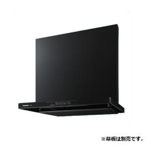 荏原製作所 20HPE0.15S HPE型 浅井戸用インバータポンプ 150W 単相100V