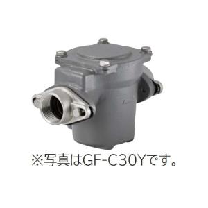 日立 ポンプ　GF-C25Y　砂こし器 配管口径25mm 鋳鉄製 ※GF-C25X後継品 [■]｜maido-diy-reform