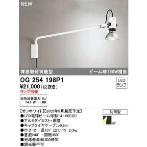 オーデリック　OG254198P1　エクステリア スポットライト ランプ別売 LEDランプ 防雨型 オフホワイト｜maido-diy-reform