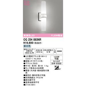 瑛ページ ODELIC 安心のメーカー保証 OG254894NR（ランプ別梱包