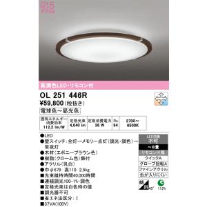 ODELIC（オーデリック） 安心のメーカー保証 オーデリック照明器具
