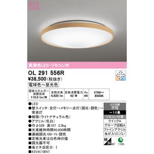 LEDダウンライト LED一体型 5000K 調光器併用不可 φ100 AD45163L